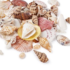Gemischte Muschelperlen&nbsp;BSHE-TA0002-05