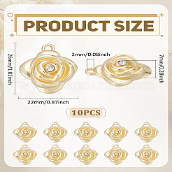 Подвески из сплава 10шт&nbsp;FIND-LP0005-35