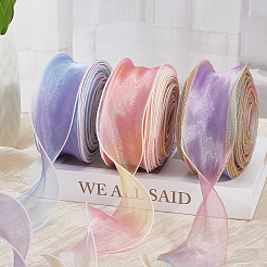 1 пакетик ленты из органзы градиентного цвета&nbsp;OHAR-CY0001-01C