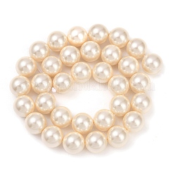 Оболочки жемчужина бисер нитей BSHE-XCP0001-62A