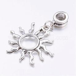 Европейские подвески из сплава в тибетском стиле PALLOY-JF00329