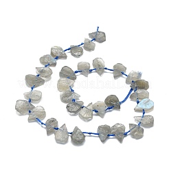 Необработанные необработанные натуральные лабрадоритные бусины G-E576-21