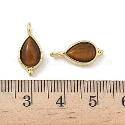 Природных тигровый глаз подвески KK-P325-08G