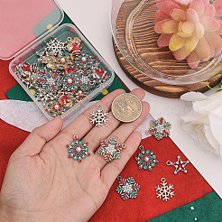 40шт 10 стильные подвески из сплава со стразами&nbsp;RB-CA0001-03