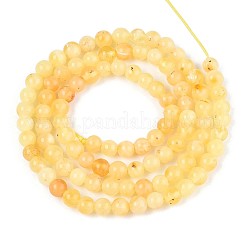 Нити бусин из натурального желтого янтаря G-N351-04A-01