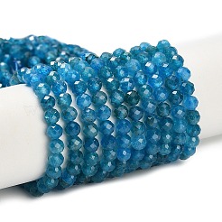Природного апатита нитей бисера&nbsp;G-Z106-A01-4mm