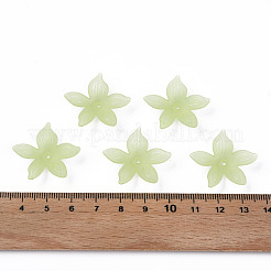 Прозрачные акриловые бусины&nbsp;MACR-S373-127-D06