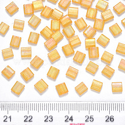 2-луночное выпечка из окрашенного прозрачного стекла X-SEED-S031-L-251