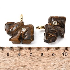 Natürliche Tigerauge geschnitzte Anhänger&nbsp;G-H357-01G-07