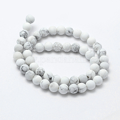 Fili di perline howlite naturale&nbsp;X-G-F518-22-6mm