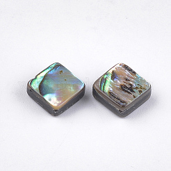 Abalone Muschel / Paua Muschel Perlen&nbsp;LS-SSHEL-T008-02