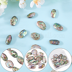 1 Strang natürliche Abalone-Muschel/Paua-Muschelperlenstränge&nbsp;SSHEL-SC0001-64