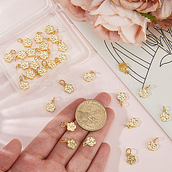 Подвески из сплава 30 шт.&nbsp;FIND-BBC0004-81