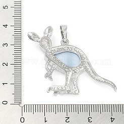 Подвесные раковины paua / abalone&nbsp;G-A176-A13