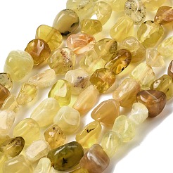 Природные желтые опал бусины пряди G-P601-A02-02