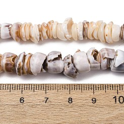 Natürlichen Muschelperlen Stränge&nbsp;SH-CBA2978-03