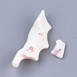 Бусины из морских раковин&nbsp;SSHEL-T008-18