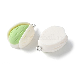 Подвески из непрозрачной смолы&nbsp;RESI-Z033-01P