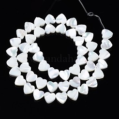 Нити бусин из натуральных трохоидных/трохус ракушек SSHEL-N034-98B-B01