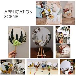Fiore essiccato&nbsp;DIY-B018-03