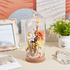 Стеклянный купол&nbsp;AJEW-WH0604-68B