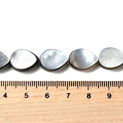 Нити бусин из натуральной черной ракушки для губ BSHE-D300-04B