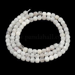 Brins de perles de pierre de lune arc-en-ciel naturel&nbsp;GG-CBAB953-A02-4mm