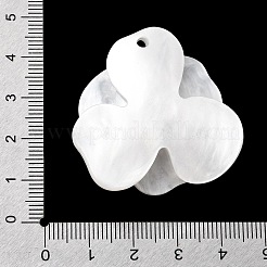 Ciondoli in acetato di cellulosa (resina) per San Valentino&nbsp;LS-FIND-A064-01