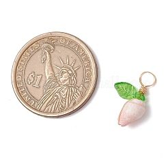 12 шт. 4 стиля подвески из натуральной морской ракушки в медной проволоке&nbsp;PALLOY-JF03610