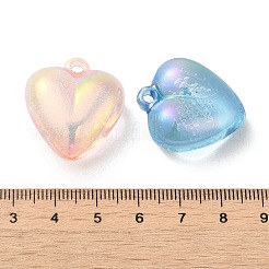 Прозрачные акриловые подвески-пузыри OACR-B020-09