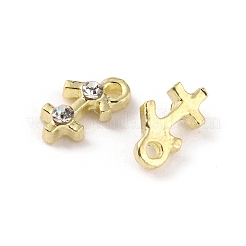 Zinklegierung Charms Charme Anhänger&nbsp;FIND-WH0150-69B