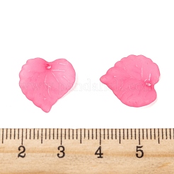 Прозрачные акриловые подвески&nbsp;X-PL591-3