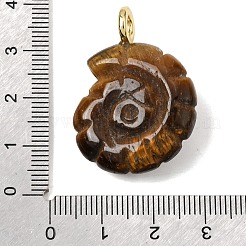 Pendentifs sculptés en œil de tigre naturel&nbsp;G-C282-01O