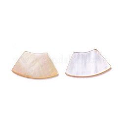 シェルカボション  ファン  黄色のシェル  10x17x1~1.5mm&nbsp;SSHEL-L012-03A