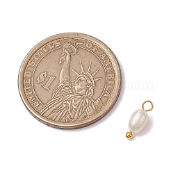 Натуральные пресноводные жемчужины картофельные подвески PALLOY-JF03202-01