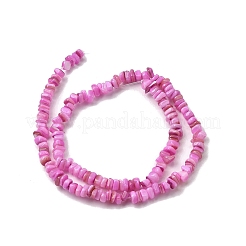 Бусины из натуральных пресноводных ракушек&nbsp;SHEL-B003-01F