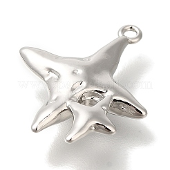 Латунные подвески&nbsp;KK-K389-031P