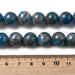 Природного апатита нитей бисера G-D340-A02-12mm