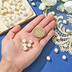 50 шт.&nbsp;FIND-CJ0001-48