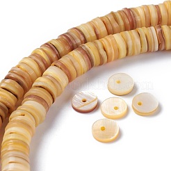 Нити бусин из натуральных пресноводных ракушек BSHE-I016-04B