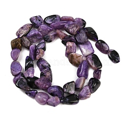 Естественно чароитовыми бисер пряди G-S301-13-01