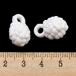 Opake Acryl Anhänger&nbsp;SACR-L007-049A