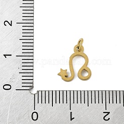 Pendentifs en acier inoxydable chirurgical 316l&nbsp;STAS-U058-01G-05