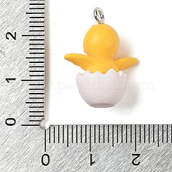 Подвески из непрозрачной смолы&nbsp;RESI-S399-02