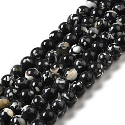 Fili di perle sintetiche turchesi e conchiglie montate&nbsp;G-D482-01A-01