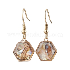 Естественно Paua оболочки болтающийся серьги EJEW-JE06274