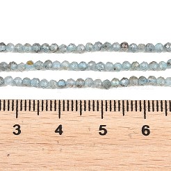 Natürliche Apatit Perlen Stränge&nbsp;G-RM250104-C5