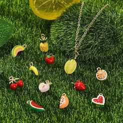 12шт 12 стиля подвески из сплава с эмалью&nbsp;ENAM-CJ0007-22