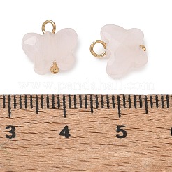 Natürliche gemischte Stein-Anhänger&nbsp;KK-D289-61G