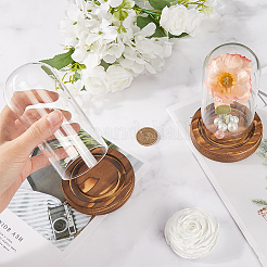 Стеклянный купол&nbsp;AJEW-SC0001-61B